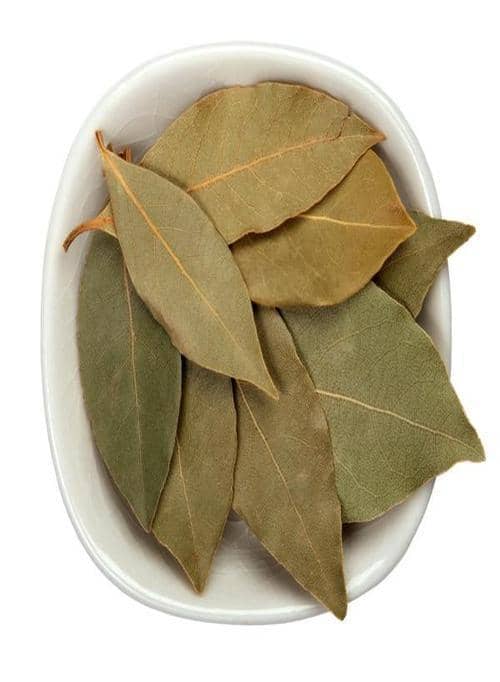 Bay Leaf Spices 25 gm SF Traders