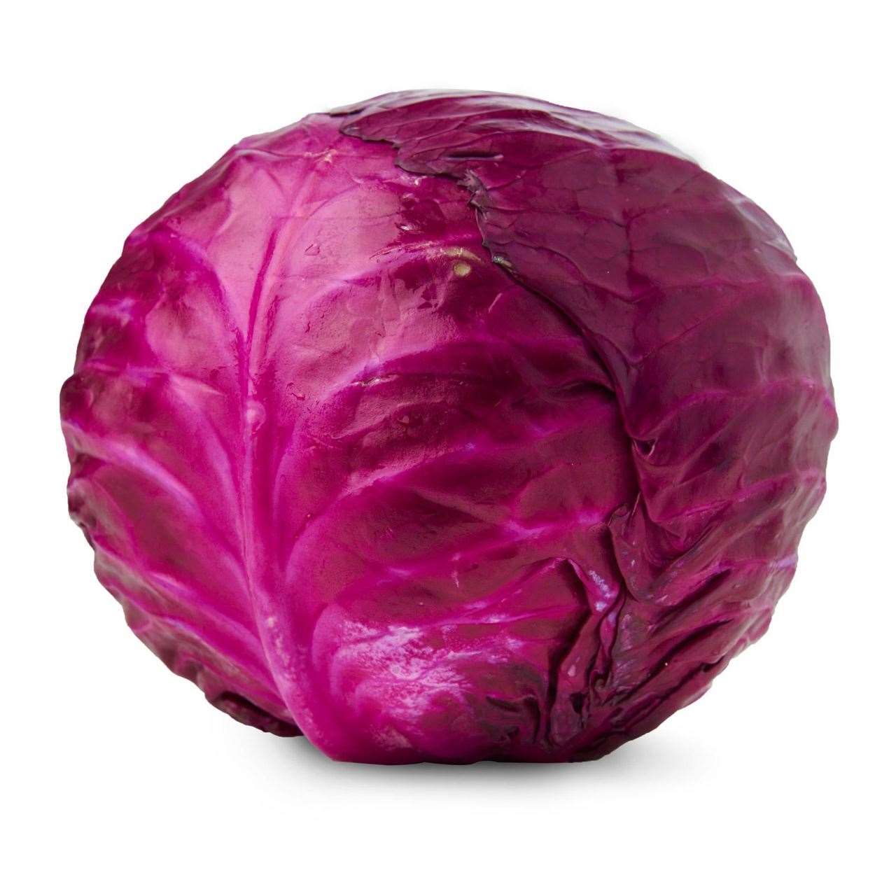 RED CABBAGE 500G SF Traders