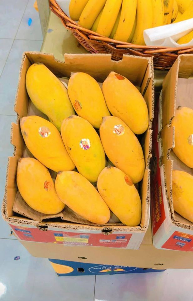 SINDHRI MANGO 1 KG (Pre-Order) SF Traders