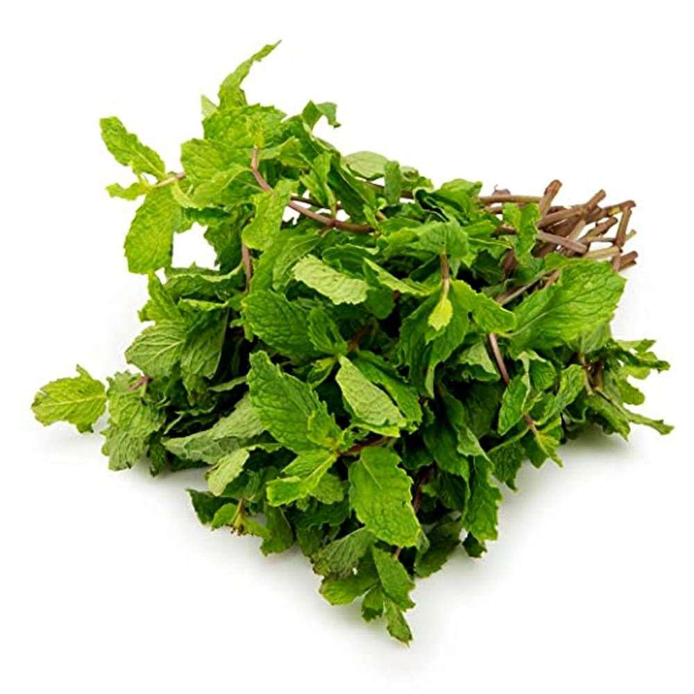 PEPPERMINT (PUDINA) (BUNDLE) SF Traders